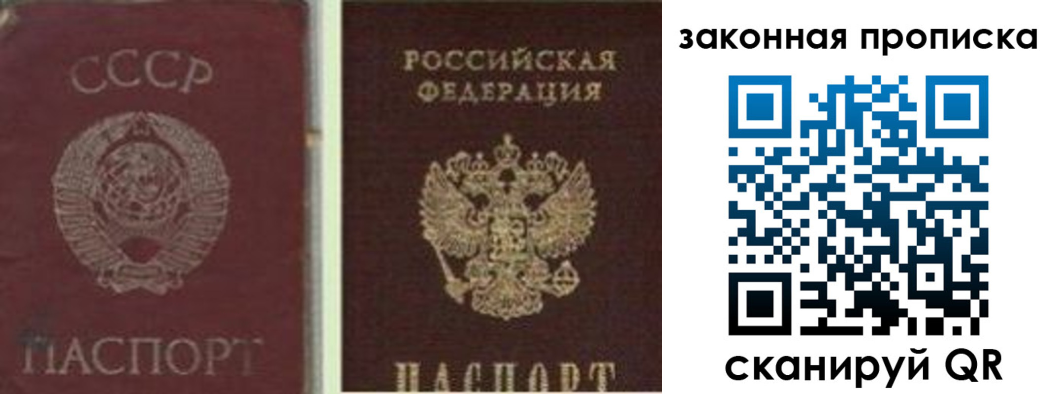 прописка для работы в Ртищево